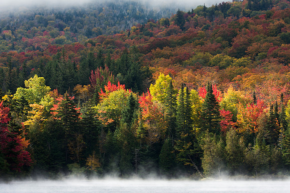 Foggy Morning at Heart Lake