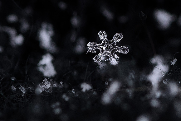 Snowflake