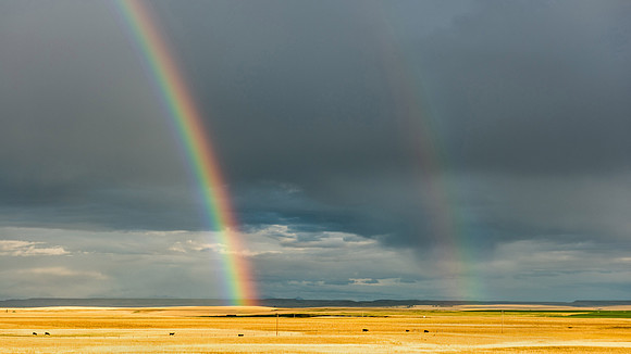 Double Rainbow