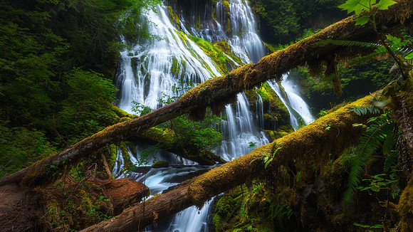 Panther Creek Falls