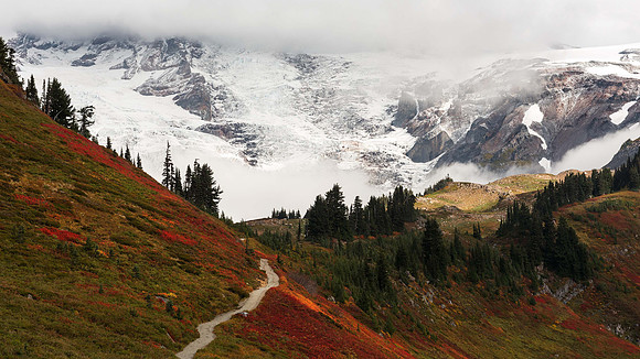 Mount Rainier Hike