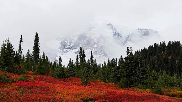 Mount Rainier
