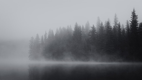 Foggy Morning at Bowman Lake