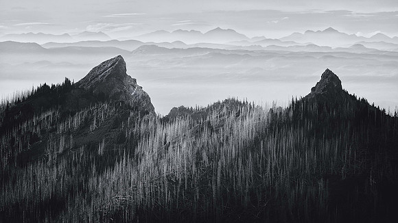 Hurricane Ridge