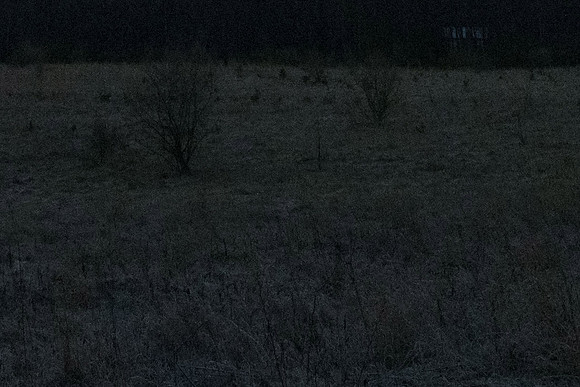 ISO 800