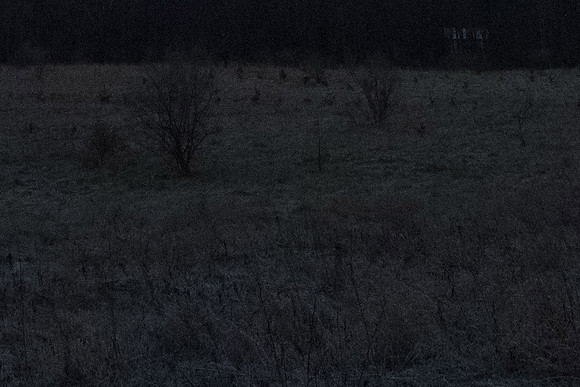 ISO 6400