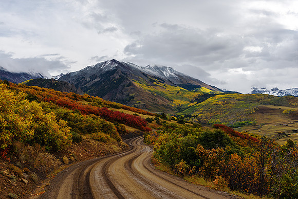 Last Dollar Road