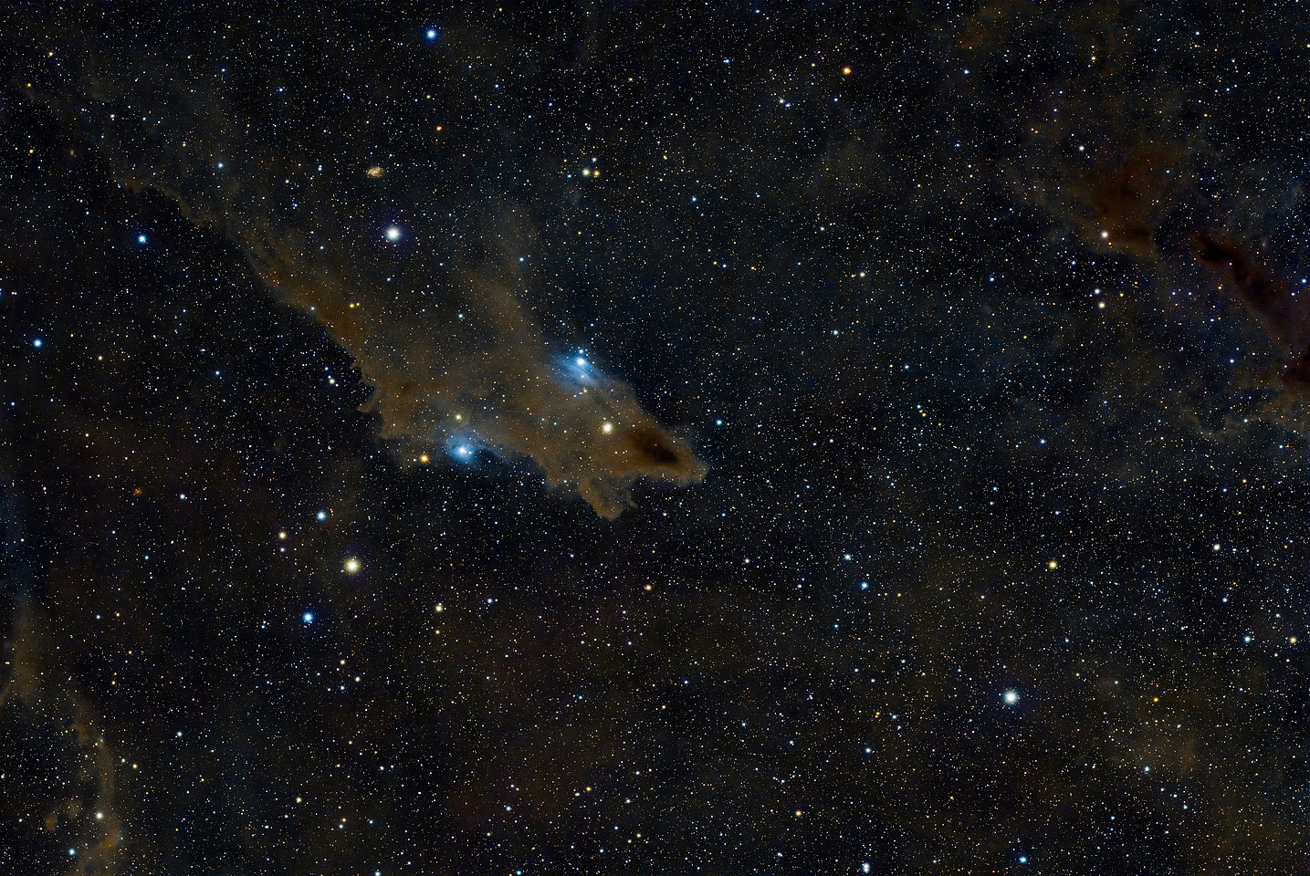 RC61 - Dark Shark - Peter Zelinka