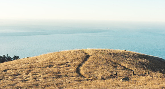 Mount Tamalpais