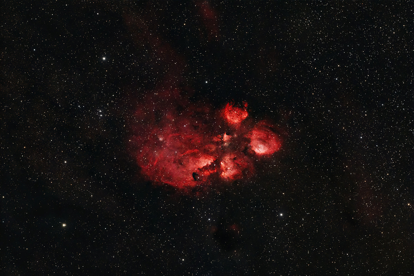 RC61 - Cats Paw - Peter Zelinka