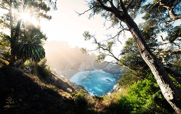 McWay Falls