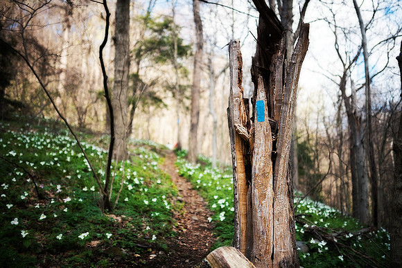 North Country Trail