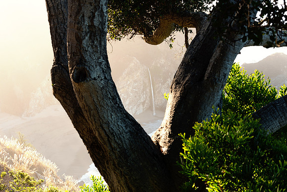 McWay Falls