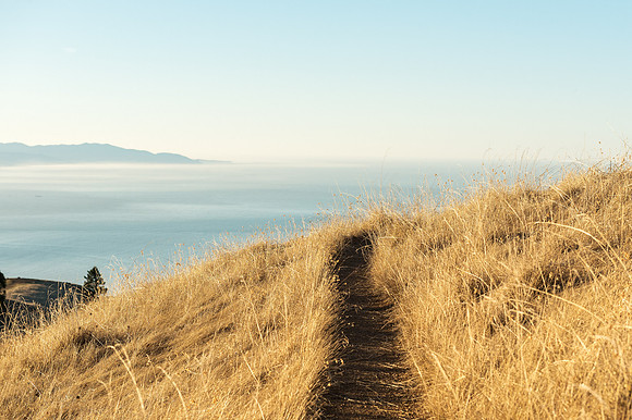 Mount Tamalpais